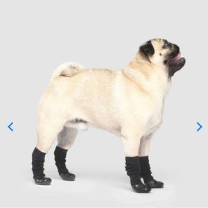 Canada Pooch - Slouchy Socks - Black Size: L